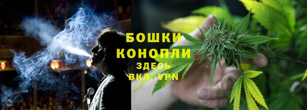 прущие грибы Белоозёрский