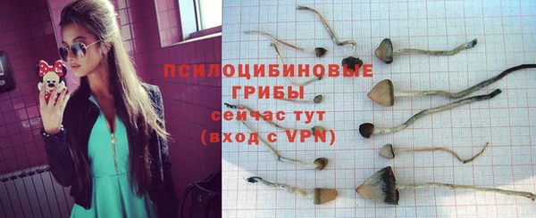 прущие грибы Белоозёрский