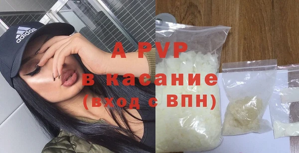 прущие грибы Белоозёрский